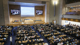 N&eacute;gociations plastique: les &eacute;cologistes d&eacute;noncent la pr&eacute;sence croissante de lobbyistes du p&eacute;trole