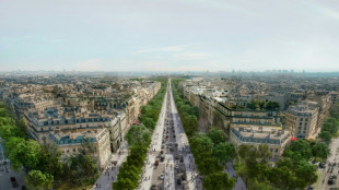 Moins de voitures et plus de culture pour "r&eacute;enchanter" les Champs-Elys&eacute;es 