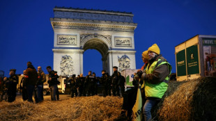 Agriculteurs: la Coordination rurale m&egrave;ne une action autour de l'Arc de Triomphe &agrave; Paris&nbsp;
