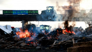 Mobilisation agricole: quelques blocages et rassemblements persistent