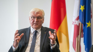 Steinmeier appelliert an Verantwortung Ungarns innerhalb der Europ&auml;ischen Union