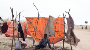 Soudan: le ministre de la Défense affirme que la guerre va continuer 