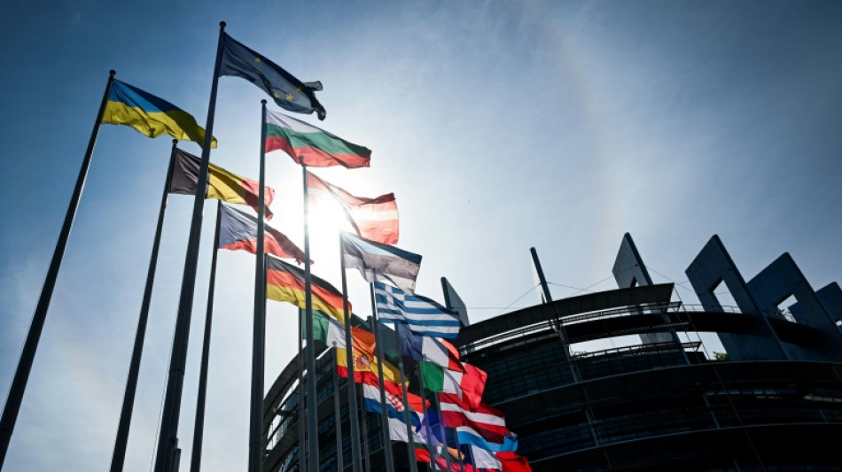 La gauche s'indigne d'une "exposition antiavortement" au Parlement europ&eacute;en