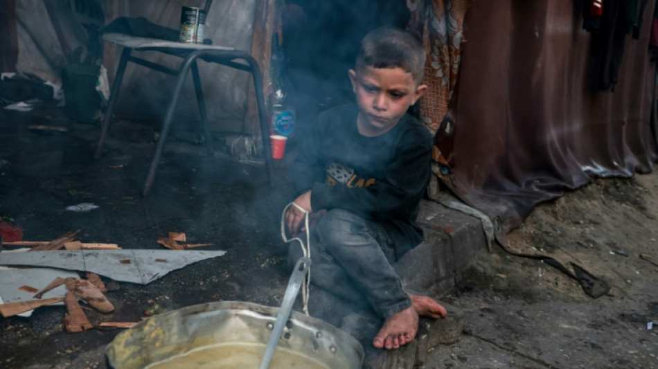 Efforts internationaux accrus pour envoyer de l'aide &agrave; Gaza touch&eacute;e par la famine