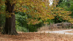 Juillet 2026, mois le plus chaud jamais enregistr&eacute; en France (M&eacute;t&eacute;o-France)