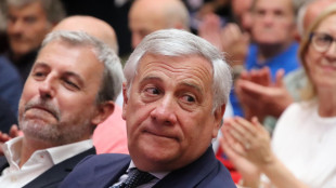 FI, se la Lega non vota dl Ucraina problema politico serio