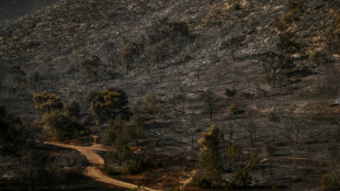 Greeks count cost of wildfire 'tragedy' near Athens