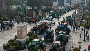 Des milliers d'agriculteurs manifestent en tracteur &agrave; travers l'Espagne