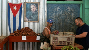 Membros de comboio internacional come&ccedil;am a chegar a Cuba com ajuda humanit&aacute;ria