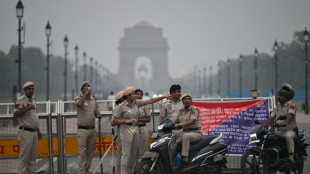 L&iacute;der do movimento das 'baratas' detido antes de manifesta&ccedil;&atilde;o na &Iacute;ndia