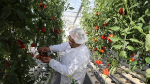 Wef, l'economia green varr&agrave; 7.000 miliardi di dollari nel 2030