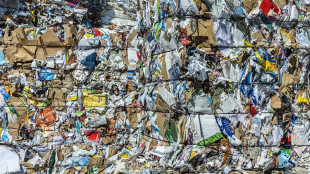 Italia seconda in Europa per produzione di carta da macero