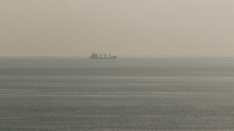 Zweites in der Ukraine beladenes Getreideschiff erreicht Istanbul