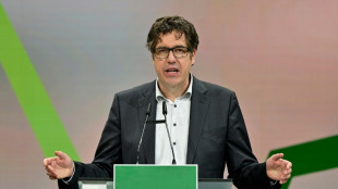 Gr&uuml;nen-Politiker Kellner glaubt an Auftrieb f&uuml;r seine Partei durch Ampel-Bruch