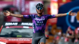 Tour d'Italie: Plapp enfin récompensé, Ulissi prend le rose