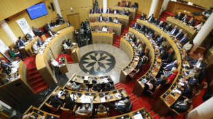 Corse: le Parlement adopte un texte pour la gestion publique des ports et aéroports