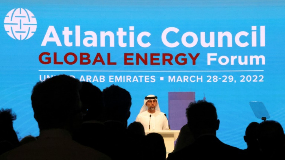 UAE reaffirms OPEC+ commitment, says West must be 'reasonable'