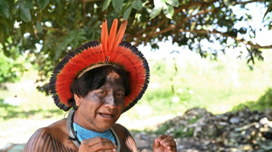 New gold rush threatens indigenous havens in Brazil's Amazon