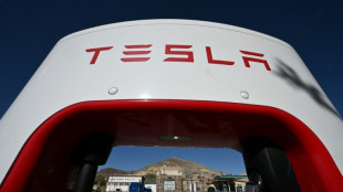 Su&egrave;de: un syndicat va poursuivre Tesla en justice pour r&eacute;tention d'information