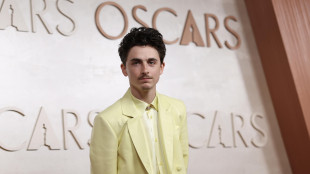 Il David Speciale a Timothée Chalamet