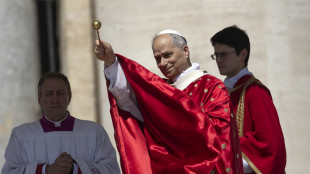 Il Papa,si aprano vie riconciliazione ovunque c'è guerra