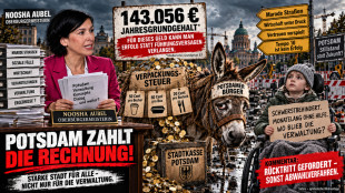 Noosha Aubel: 143.056 Euro Jahresgrundgehalt &ndash; und Potsdams B&uuml;rger sollen als Goldesel zahlen